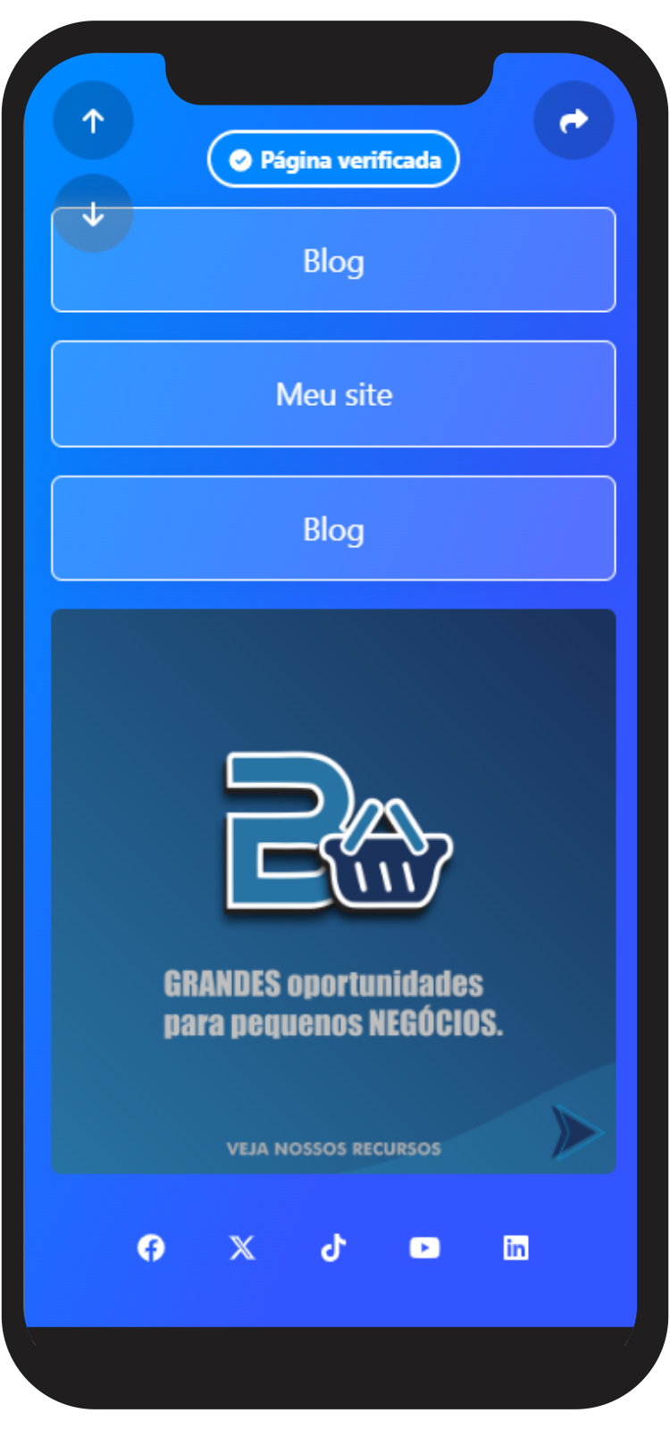 Captura de tela de exemplos de páginas biolink